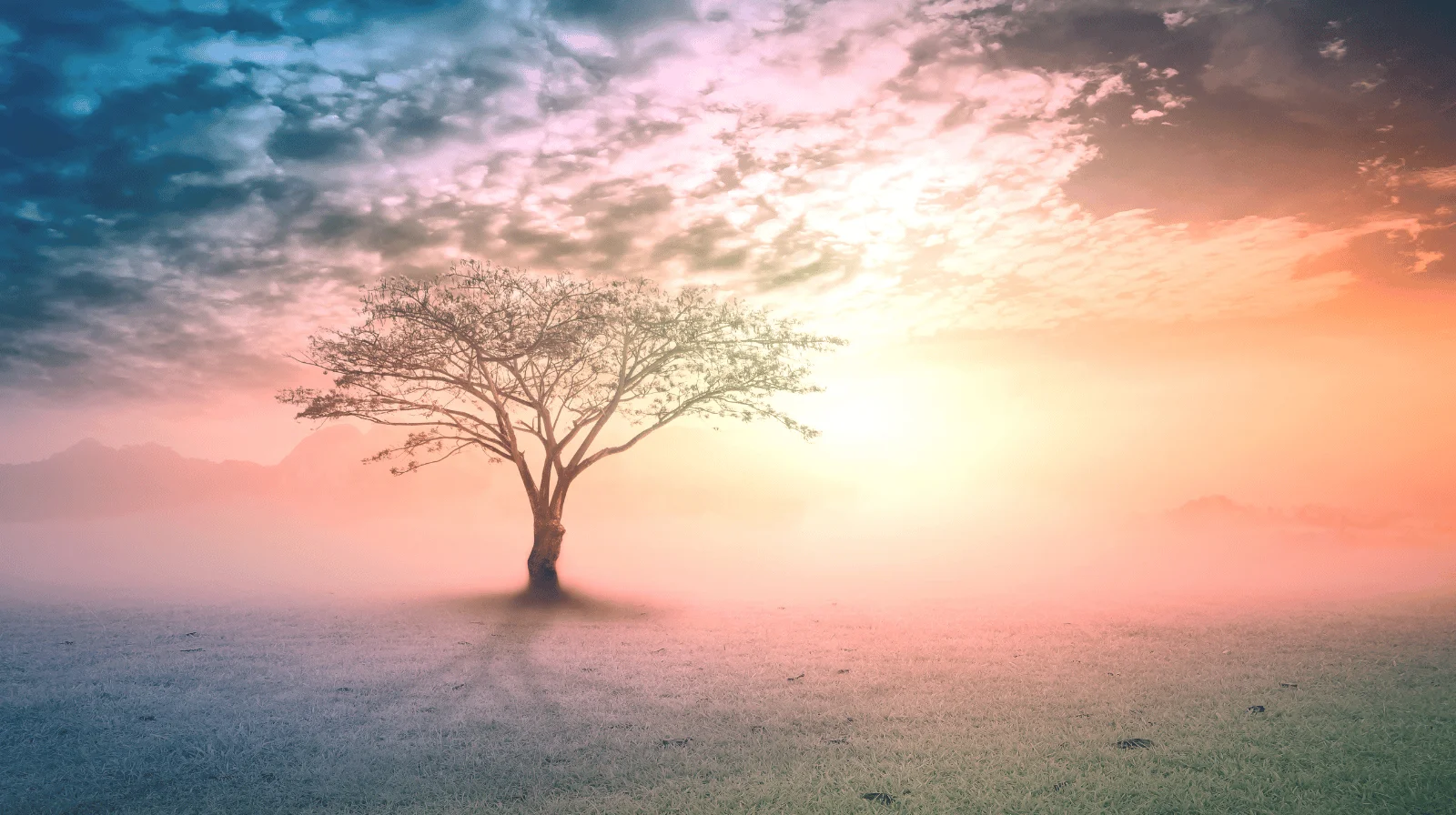 These zodiac signs are entering a powerful karmic cycle
